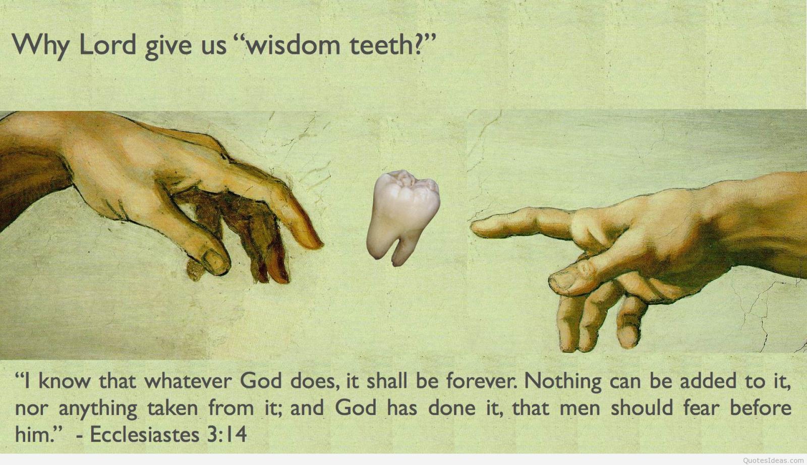 1920x1107 Wisdom quotes wallpapers and wise quotes