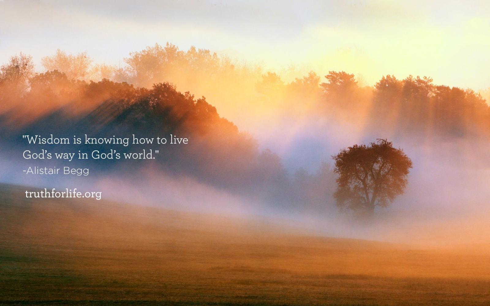 1920x1200 God's Way : Wallpaper