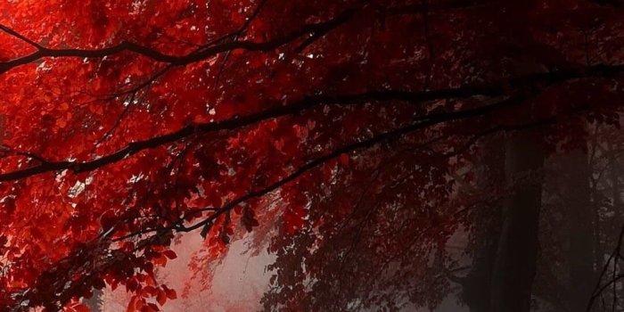 1080x1920 Top 10 Punto Medio Noticias | Red Iphone Wallpaper Tumblr Hd