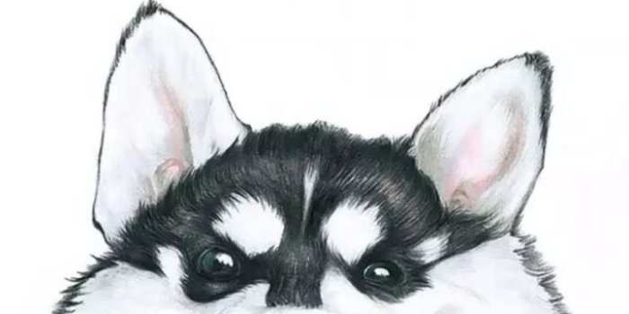 720x1280 Wallpaper - iphone wallpaper | Tumblr - Pintock