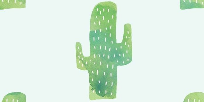 736x1309 Background Tumblr Lockscreen Cute - Cute Tumblr Cactus Wallpaper
