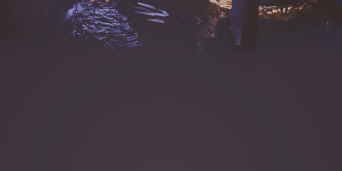 700x1245 Blood, Sweat & Tears Wallpapers
