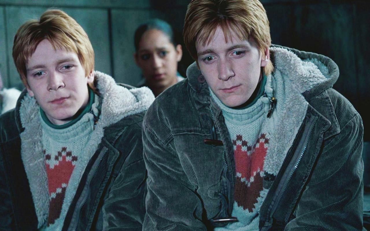 1280x800 Fred and George Weasley | The Pranksters | Harry potter gif, Harry