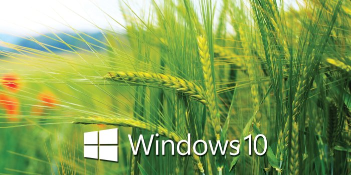 2560x1440 Set Different Wallpapers for Multiple Monitors in Windows 10