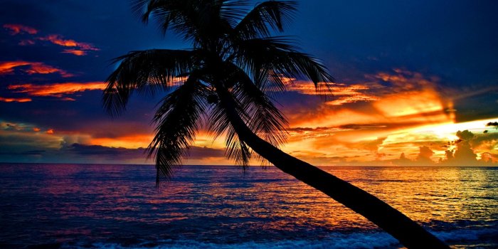 1600x1200 39+] Tropical Beach Sunset Wallpaper Desktop on WallpaperSafari