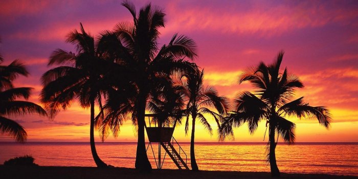 1920x1080 HD Hawaii Wallpapers (71+ images)