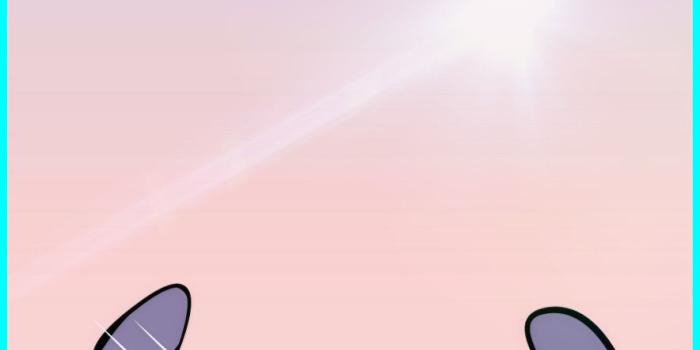 1470x2278 Ohana Wallpaper Group (57+), Download for free