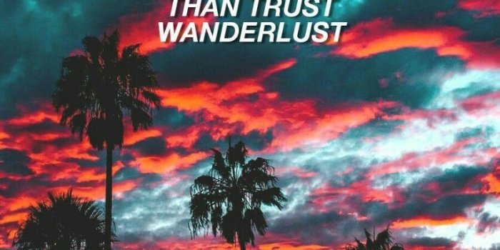 836x1254 wallpaper #xo #abeltesfaye #palmtrees #tropical #lockscreen - Sunset