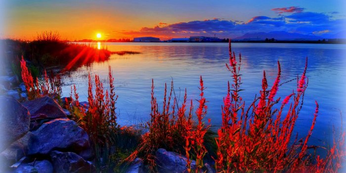 2560x1647 Summer desktop background Gallery