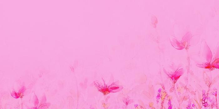 1920x1080 Baby pink wallpapers Gallery