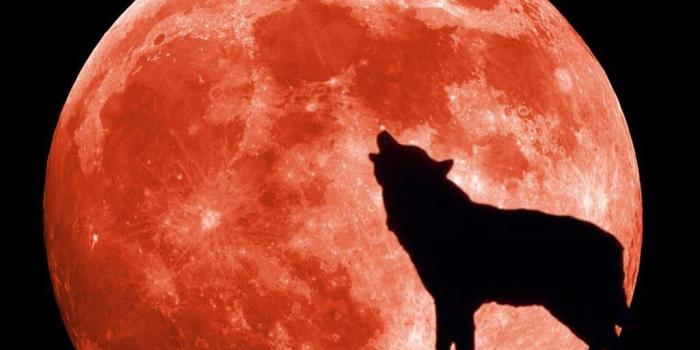 1024x768 Red Moon Wallpapers