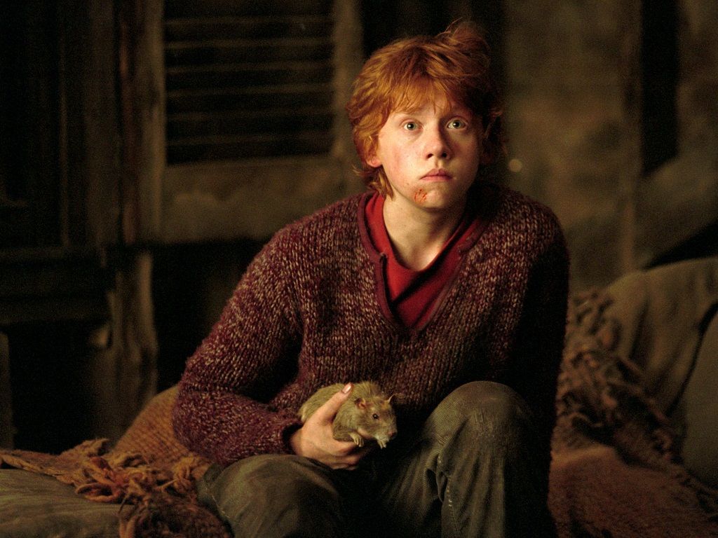 1024x768 DSC100589829.jpg - Ron Weasley Wallpapers