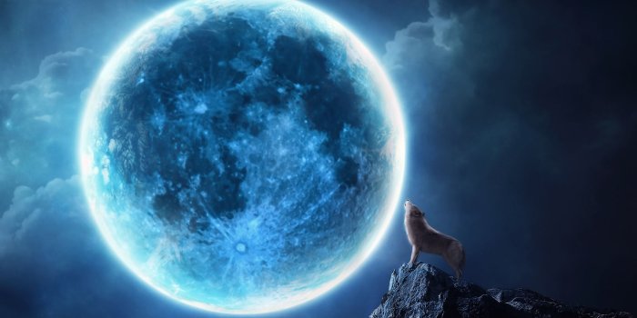 1920x1200 Full Moon Werewolf Howling HD Wallpaper, Background Images