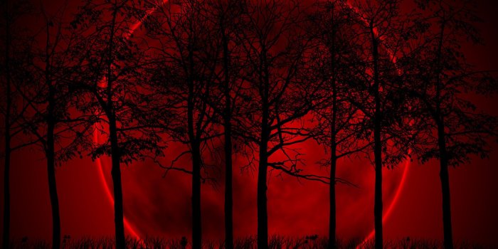 2560x1600 Blood Moon Wallpapers - Top Free Blood Moon Backgrounds