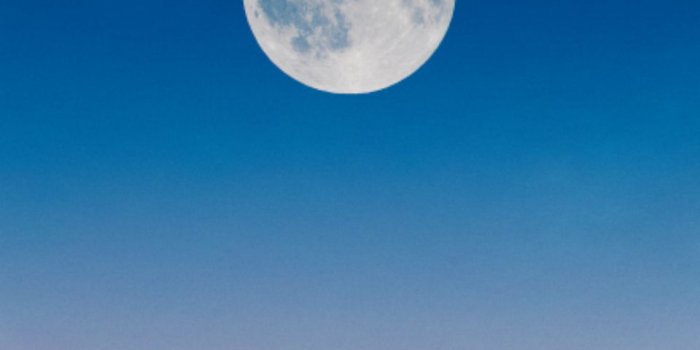 960x1381 Free Photo of full moon, dawn, wallpaper - StockSnap.io