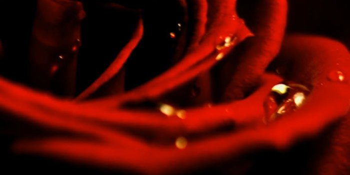 1080x1920 1080 X 1920 Pixels Hd Wallpapers - Full Hd Wallpaper For Vivo V7