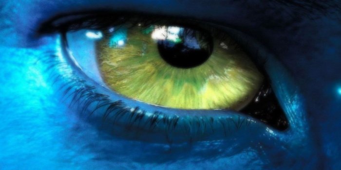 1680x1050 Avatar Movie Wallpapers Collection 6 (1920 X 1080 Pixels Desktop