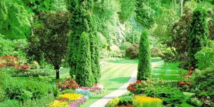 1024x768 Flower Garden | SUN SHINES: Beautiful Flower Garden Wallpapers