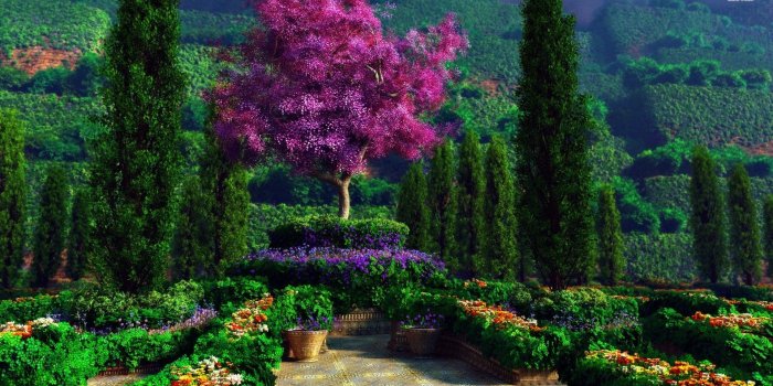 1920x1080 Beautiful garden wallpaper - Digital Art wallpapers - #9828