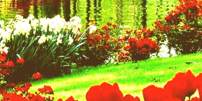 736x1226 Beautiful Gardens With Pink Multi Colored Flower Garden Wallpaper