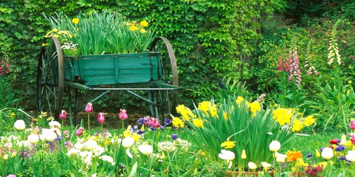 1920x1080 Garden Wallpapers (25+)