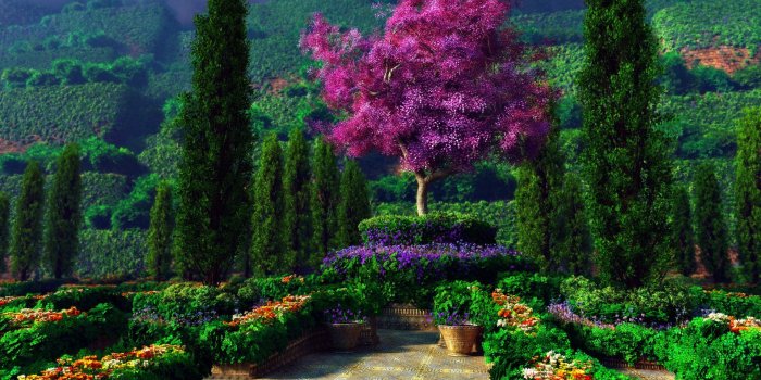 1920x1080 49+] Beautiful Gardens Wallpapers on WallpaperSafari