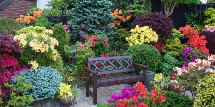 1600x1067 Drelis Gardens: Four Seasons Garden The Most Beautiful, Deep South