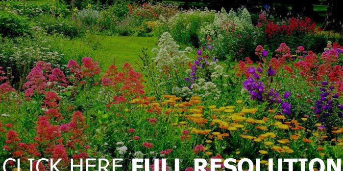 1920x1200 Beautiful Garden Wallpaper (57+ images)