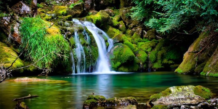 1920x1200 Green garden wallpaper Gallery