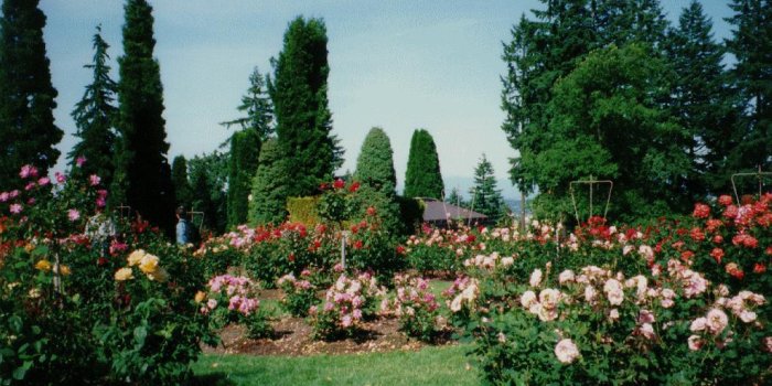 1026x770 Backyard Gardens Wallpapers - Top Free Backyard Gardens Backgrounds