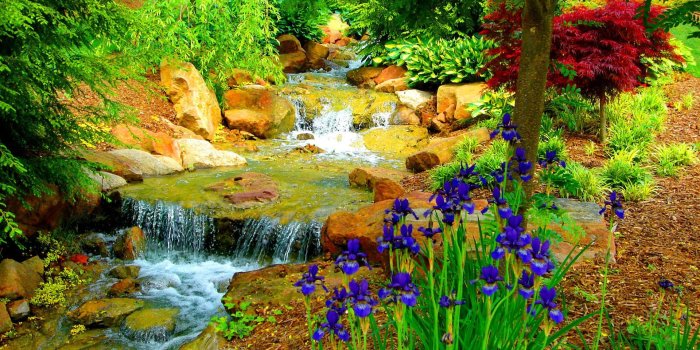 1920x1200 Beautiful Garden Wallpapers Desktop