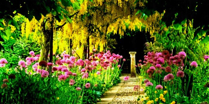 1229x706 Flowers Gardens Wallpapers For Desktop Full Size Hd - Flowers Healthy