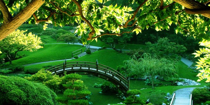 1920x1200 Beautiful Garden Wallpaper by Felicia Wert on FL | Nature HDQ