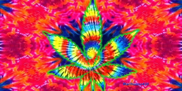 1600x900 55+ Acid Wallpapers - Download at WallpaperBro