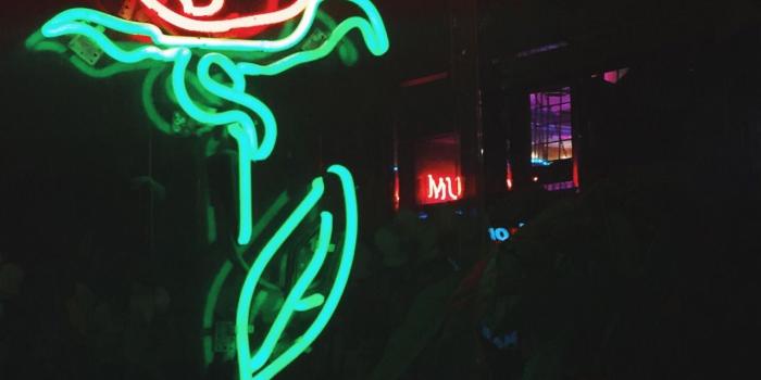 1280x1707 Image result for rose neon sign | neon rose | Neon wallpaper, Neon