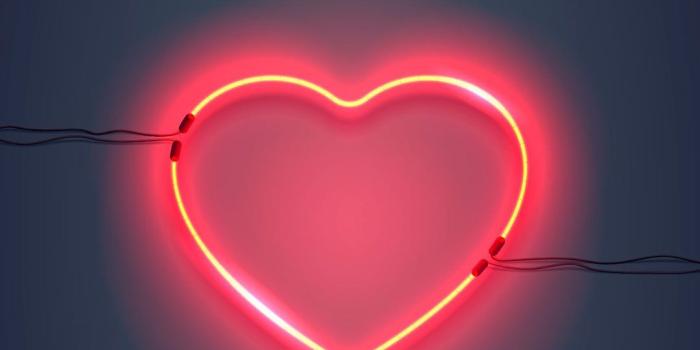 1080x1920 Neon Signs Wallpapers