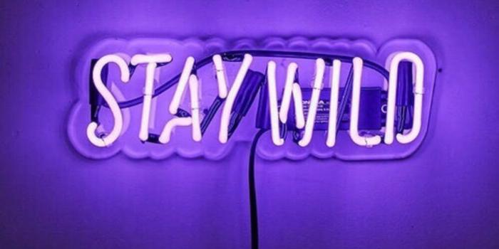 1242x1455 Neon Purple Aesthetic Wallpapers - Top Free Neon Purple Aesthetic