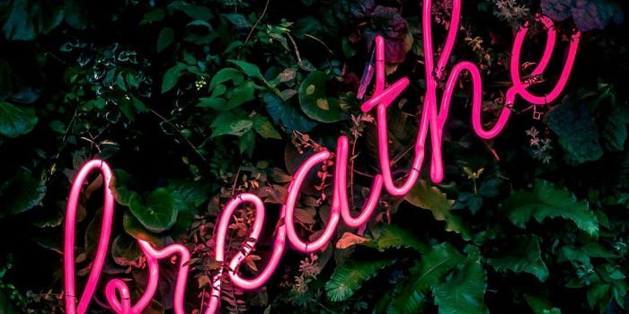 1080x1920 Neon Sign Wallpapers - Top Free Neon Sign Backgrounds - WallpaperAccess