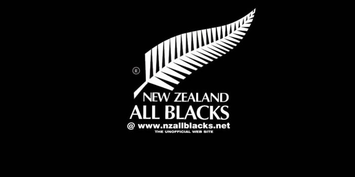 1024x768 All blacks Logos