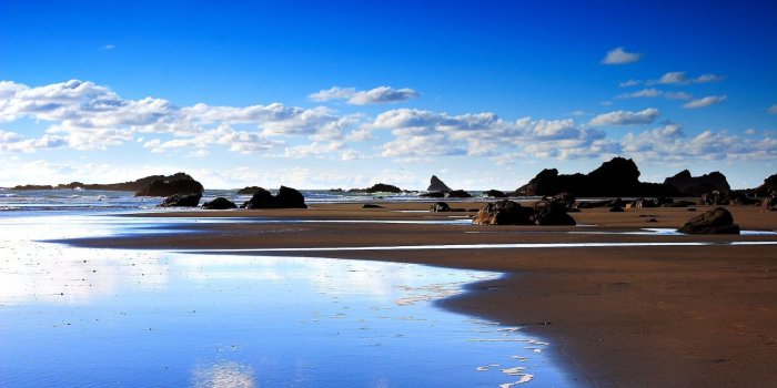 1920x1080 Background, Trees, Sun, Download, Sunset, Colourful, Windows Desktop