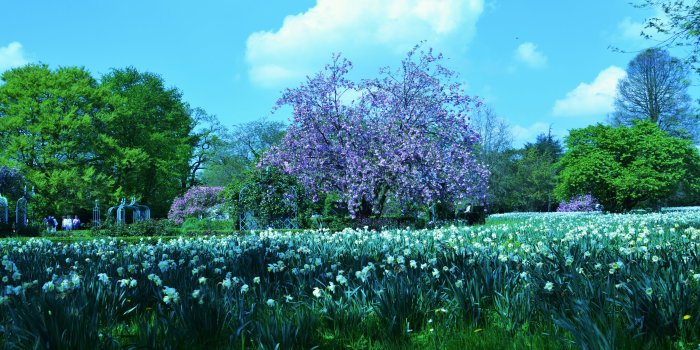 4928x3264 HD Nature Wallpapers Landscapes Background Images Download 4k Fresh