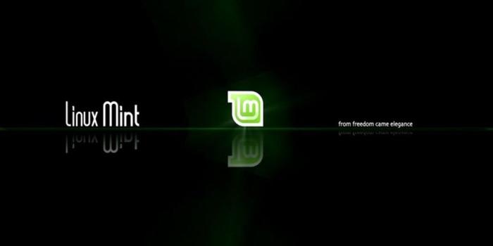 1024x855 Linux Mint Wallpapers Hd Desktop Background
