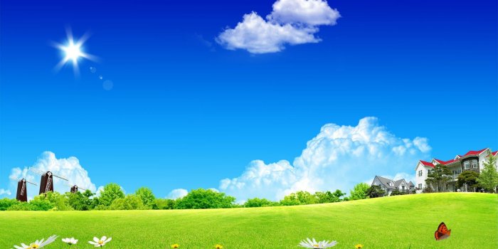 1600x1000 HD IPhone & Cute Desktop Wallpapers: Beautiful Green Nature Wallpapers 2