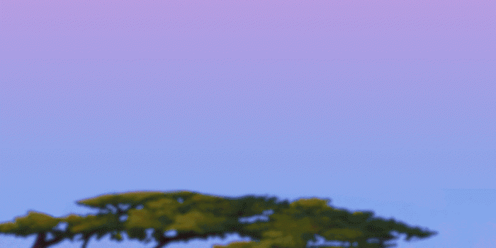 844x1500 Lion King iPhone Wallpapers - Top Free Lion King iPhone Backgrounds