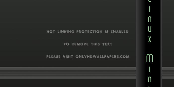 1920x1200 dark Linux mint computer
