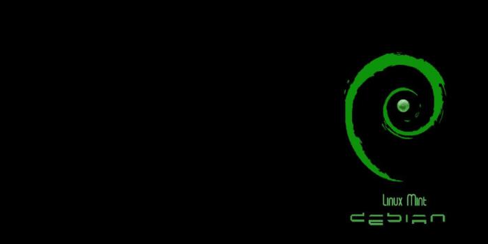 1310x837 Linux Mint Wallpaper | Copy Wallpapers