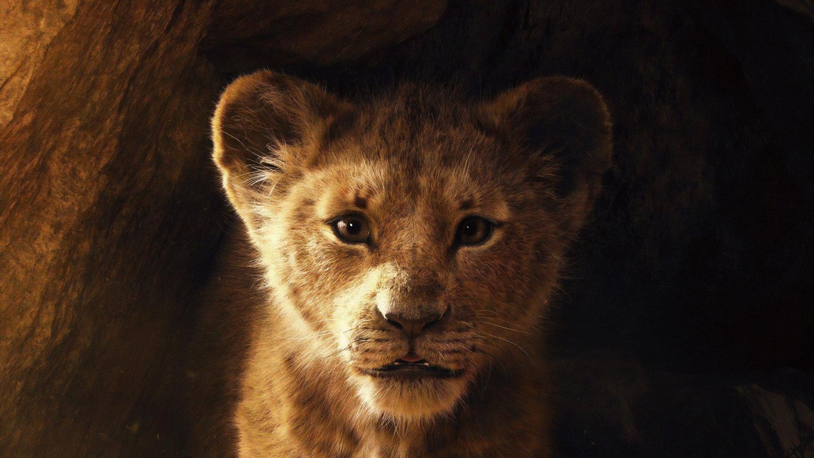 6752x3798 The Lion King 2019, HD Movies, 4k Wallpapers, Images, Backgrounds