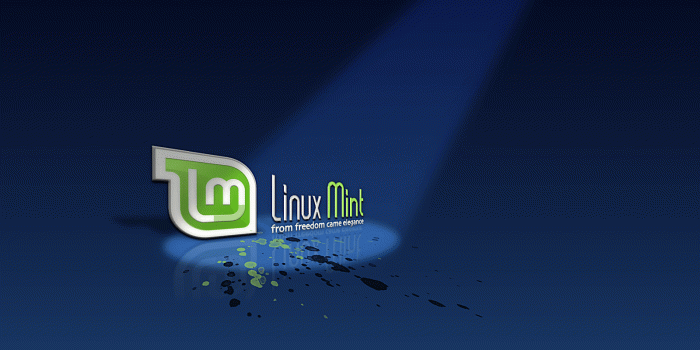 1600x1200 17 Excellent HD Linux Mint Wallpapers