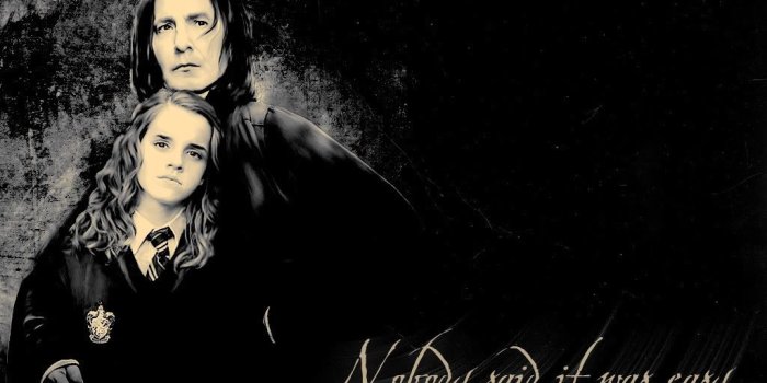 1024x768 hermione quote - Hermione Granger Photo (38347608) - Fanpop