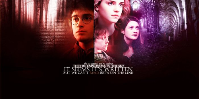 1280x800 Harry Potter Wallpapers ♥ - Harry Potter Photo (39680062) - Fanpop